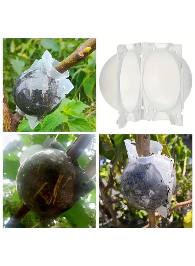 10 قطعة صناديق شفافة لتكاثر النباتات حاويات عقل بلاستيكية عالية الضغط للتطعيم - Image 5