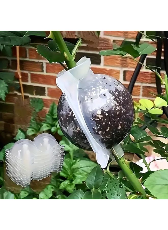 10 قطعة صناديق شفافة لتكاثر النباتات حاويات عقل بلاستيكية عالية الضغط للتطعيم - Image 2