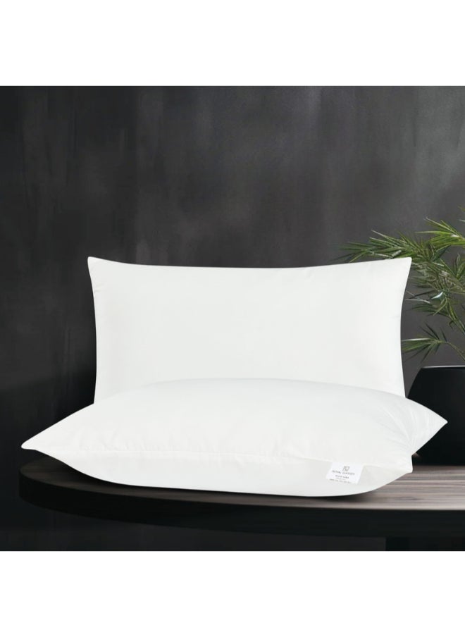 Slow Rebound Hotel Pillow 1000 Grams With A Luxurious Microfiber Cover White 50X75 Centimeters - pzsku/Z025A89101E3079EB42B5Z/45/_/1729695223/730ed2e5-b99a-48b7-bcf4-5e85a09a8cae