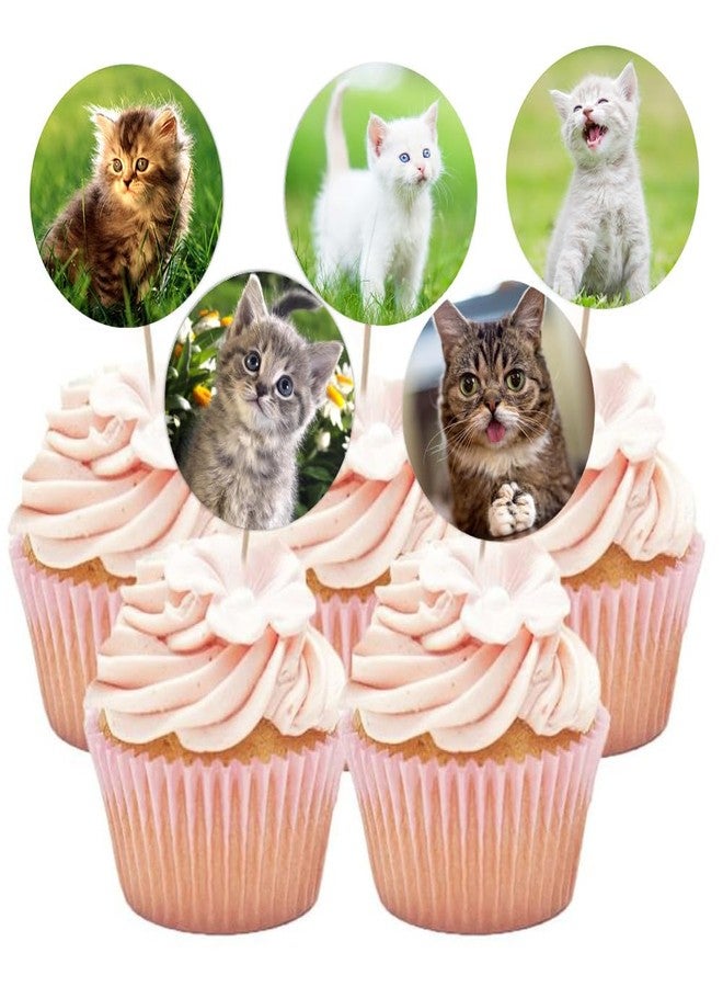 Hohamn Cat Stickers for Kids Teachers 1.5 Inch 600Pcs Cat Stickers for Kids Birthday Party School Reward Giveaways - Image 5