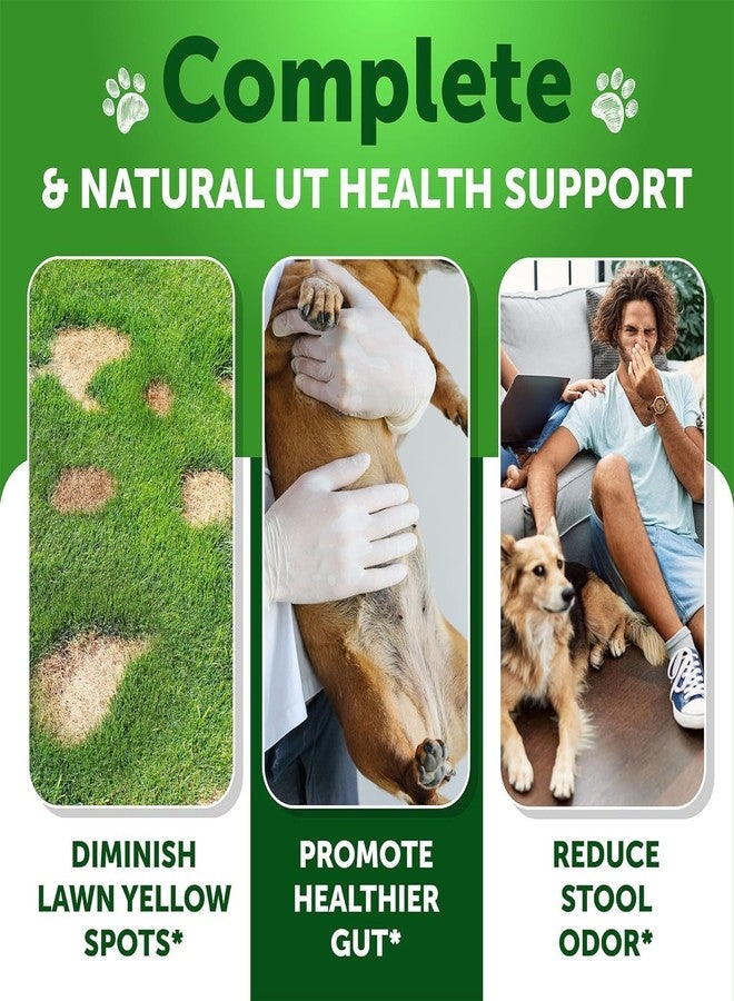 Artullano Grass Burn Spot Chews for Dogs - Pee Lawn Spot Saver Caused by Dog Urine - Grass Treatment Rocks - Urine Neutralizer for Green Lawn - Chewable Probiotics, Digestive Enzymes, DL-Methionine - 120 Treats - Image 2