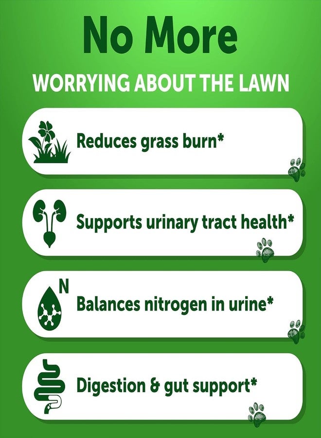 Artullano Grass Burn Spot Chews for Dogs - Pee Lawn Spot Saver Caused by Dog Urine - Grass Treatment Rocks - Urine Neutralizer for Green Lawn - Chewable Probiotics, Digestive Enzymes, DL-Methionine - 120 Treats - Image 3