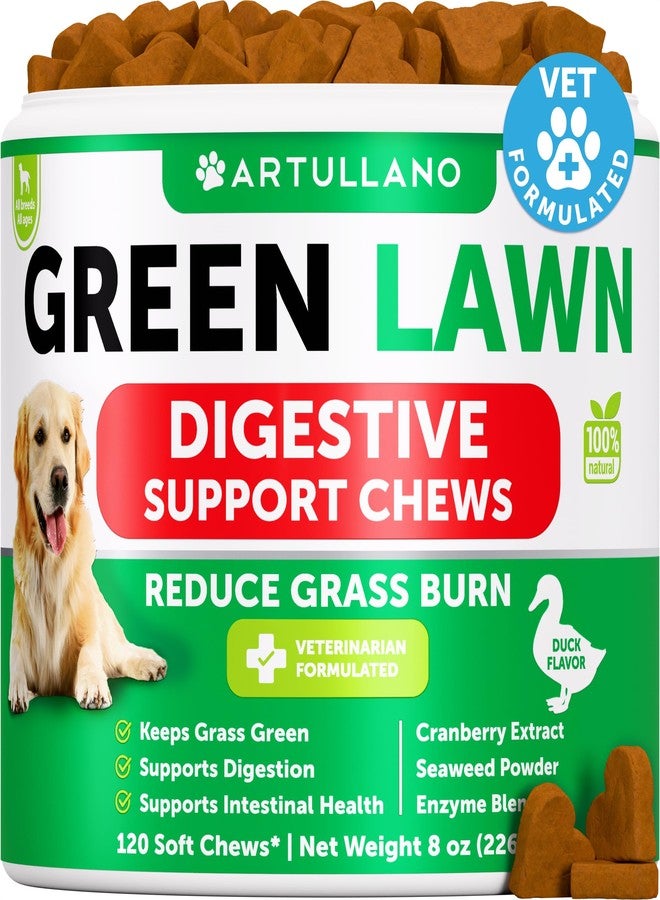 Artullano Grass Burn Spot Chews for Dogs - Pee Lawn Spot Saver Caused by Dog Urine - Grass Treatment Rocks - Urine Neutralizer for Green Lawn - Chewable Probiotics, Digestive Enzymes, DL-Methionine - 120 Treats - Image 1