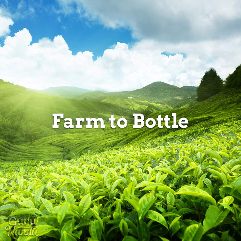 GuruNanda Tea Tree Essential Oil (2x0.5 Fl Oz) - 100% Pure, Undiluted Aromatherapy Oil for Diffusers, Massage, DIY Recipes, Helps in Skin & Hair Care - Image 5