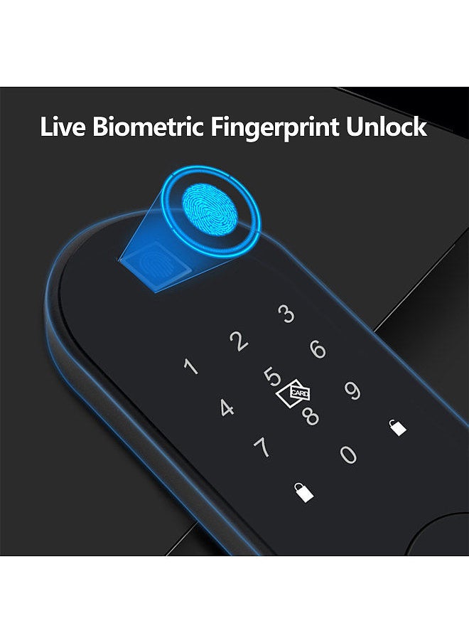 Generic - Fingerprint Door Lock Five Unlocking Ways Password Key Magnetic Card Phone APP Luminous Panel Intelligent Voice Prompt Indoor Wooden Door Security Lock - Image 1