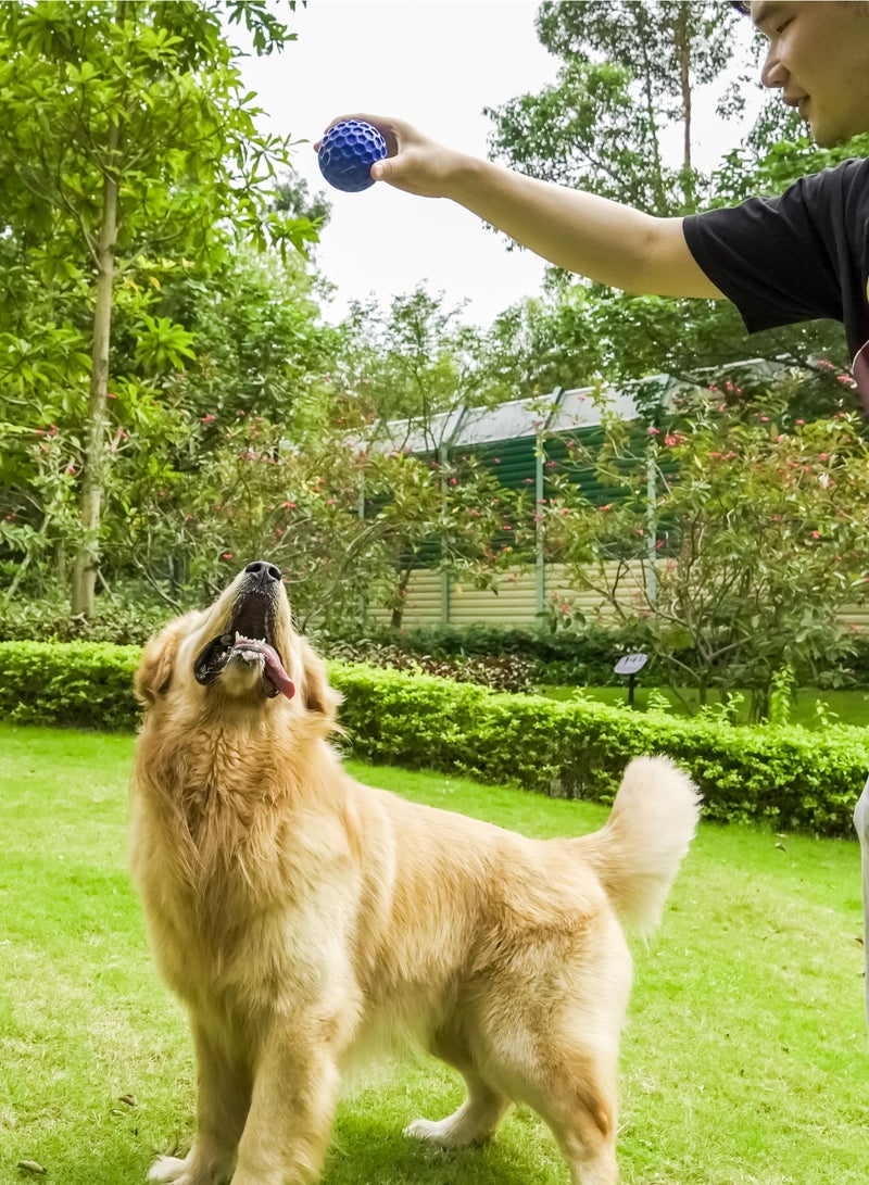 GULFLINK Non Toxic Natural Rubber Squeaky Toy for Dogs Blue - Image 4