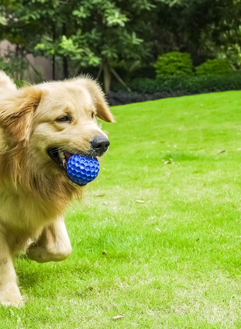 GULFLINK Non Toxic Natural Rubber Squeaky Toy for Dogs Blue - Image 3