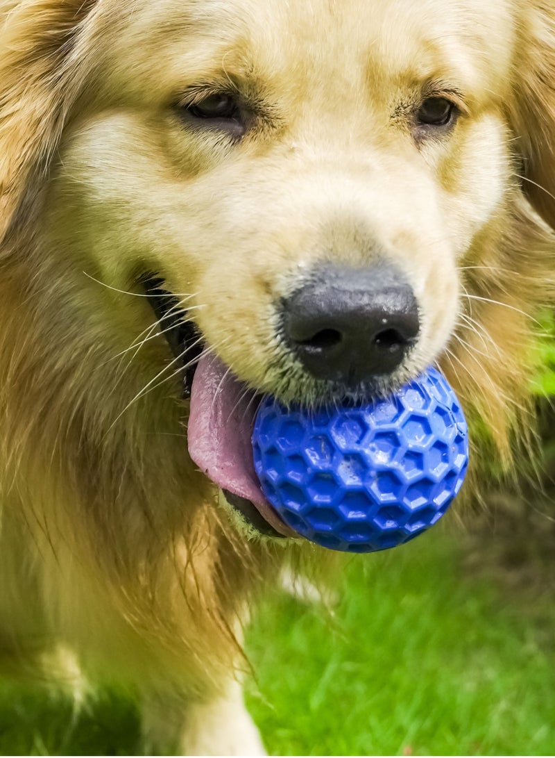 GULFLINK Non Toxic Natural Rubber Squeaky Toy for Dogs Blue - Image 5