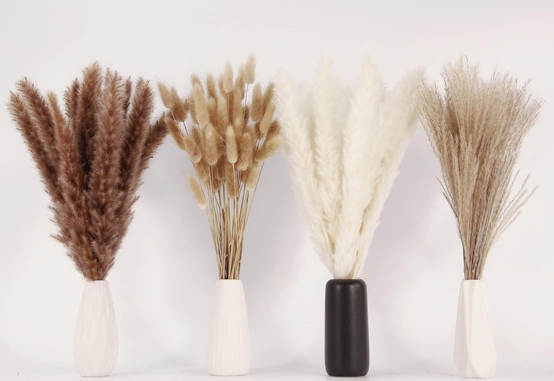 ANPROOR Dried Pampas Grass Decor, 100 PCS Pampas Grass Contains Bunny Tails Dried Flowers, Reed Grass Bouquet for Wedding Boho Flowers Home Table Decor, Rustic Farmhouse Party (White and Brown) - Image 3
