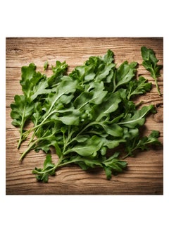 GROW Arugula seed al-fajr  - Image 2