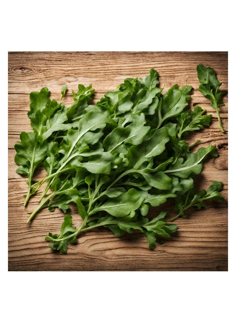 GROW Arugula seed al-fajr  - Image 2
