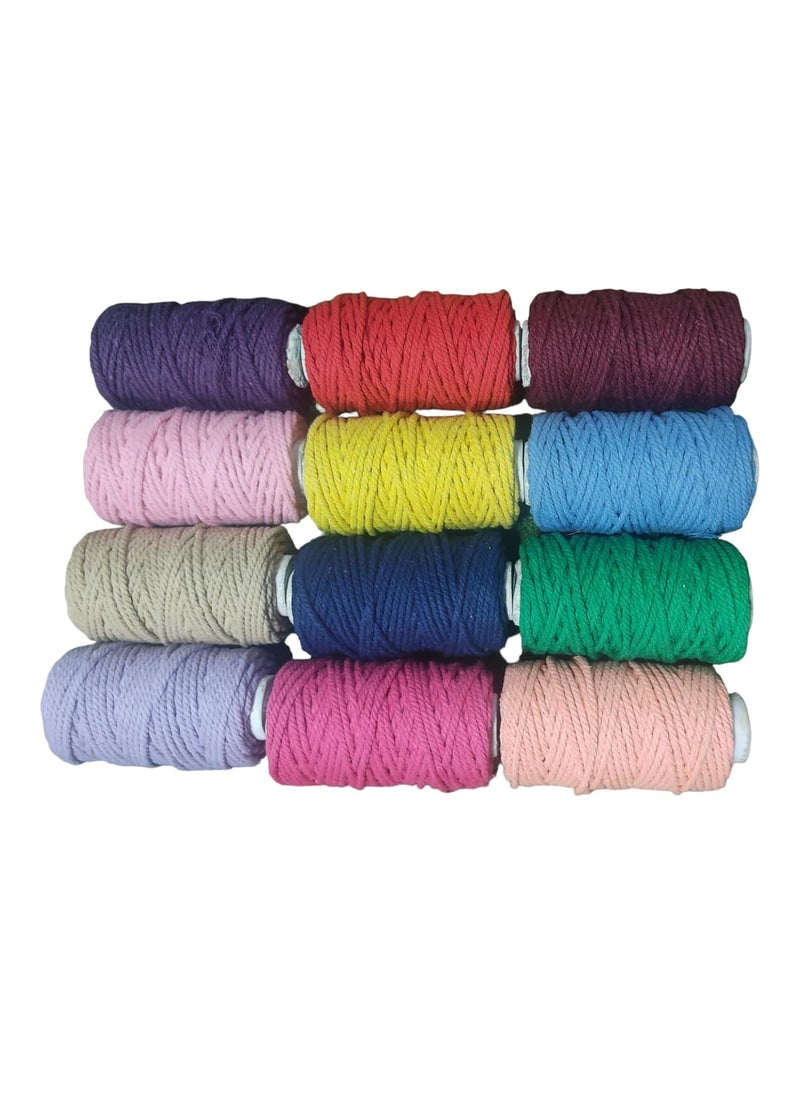 Torex TOREX | 3 Ply Twisted Macrame Thread 3mm Combo (Each Color 25 Meter),Cotton Rope Dori for Craft Thread for Macrame DIY and Other Projects (12 Pcs Multicolor)  - Image 1