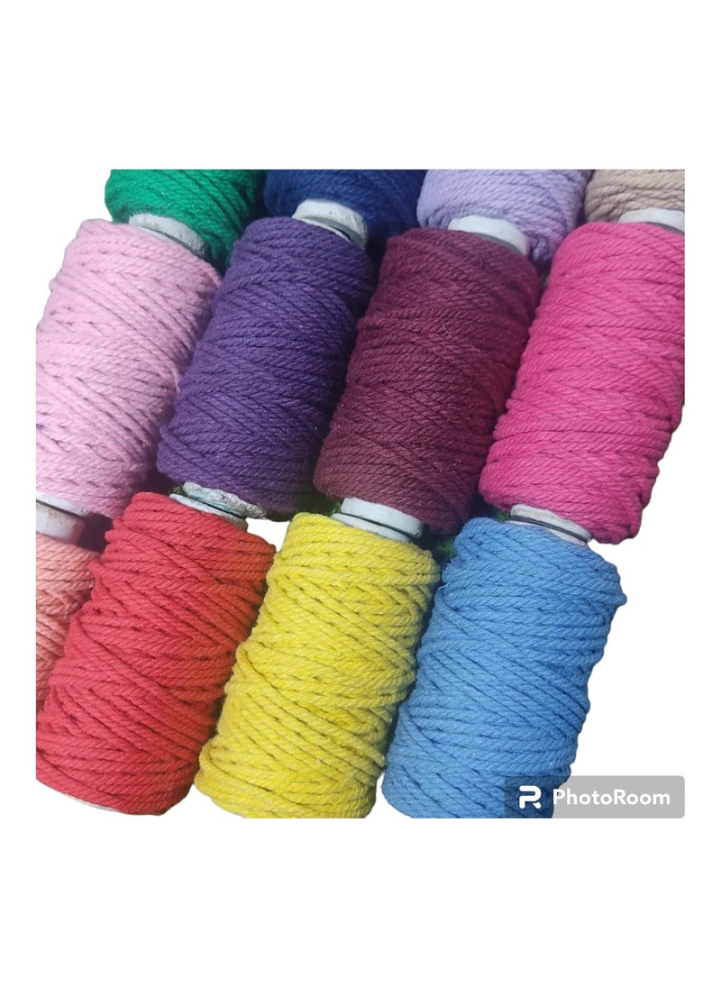 Torex TOREX | 3 Ply Twisted Macrame Thread 3mm Combo (Each Color 25 Meter),Cotton Rope Dori for Craft Thread for Macrame DIY and Other Projects (12 Pcs Multicolor)  - Image 5