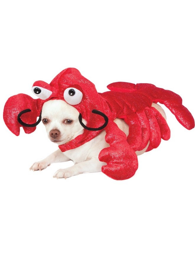 زي حيوان أليف جراد البحر من روبيز مستر كلوز، كبير