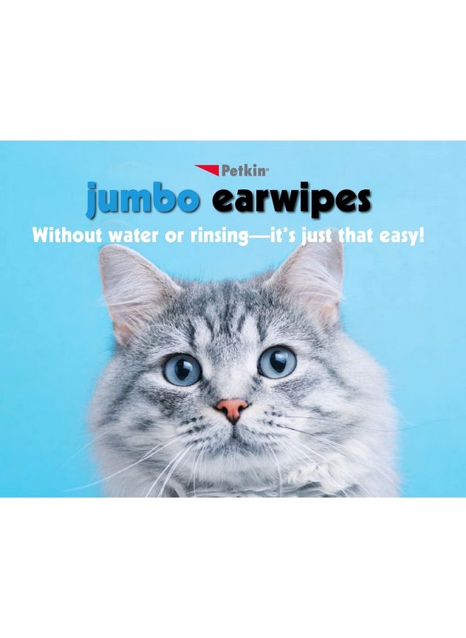 Jumbo Ear Wipes, 80-Count - pzsku/Z0263C3870A24D971726CZ/45/_/1728309319/ec992862-6af2-4000-9832-dff35548848e