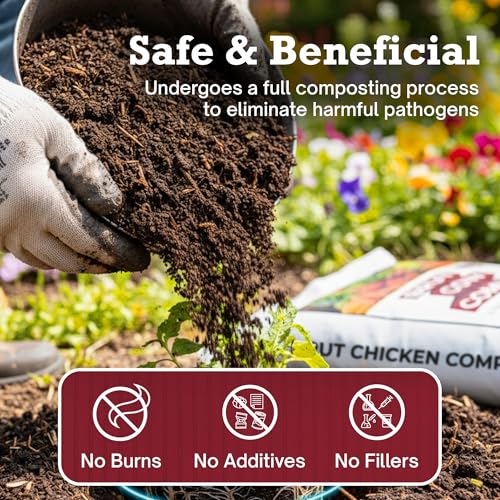 BRUT WORM FARMS Brut Chicken Compost – Nutrient-Rich 100% Composted Chicken Manure Soil Amendment – Safe, Pure Organic Compost – Additive-Free Soil Fertilizer for Vegetable Gardens, Flowers, & Indoor Plants – 10 Qrt - Image 3