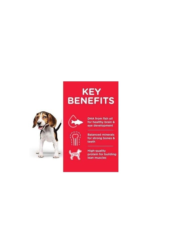 هيلز بابي وسط - طعام جاف للكلاب الصغيرة بالدجاج 2.5 كجم - Image 3