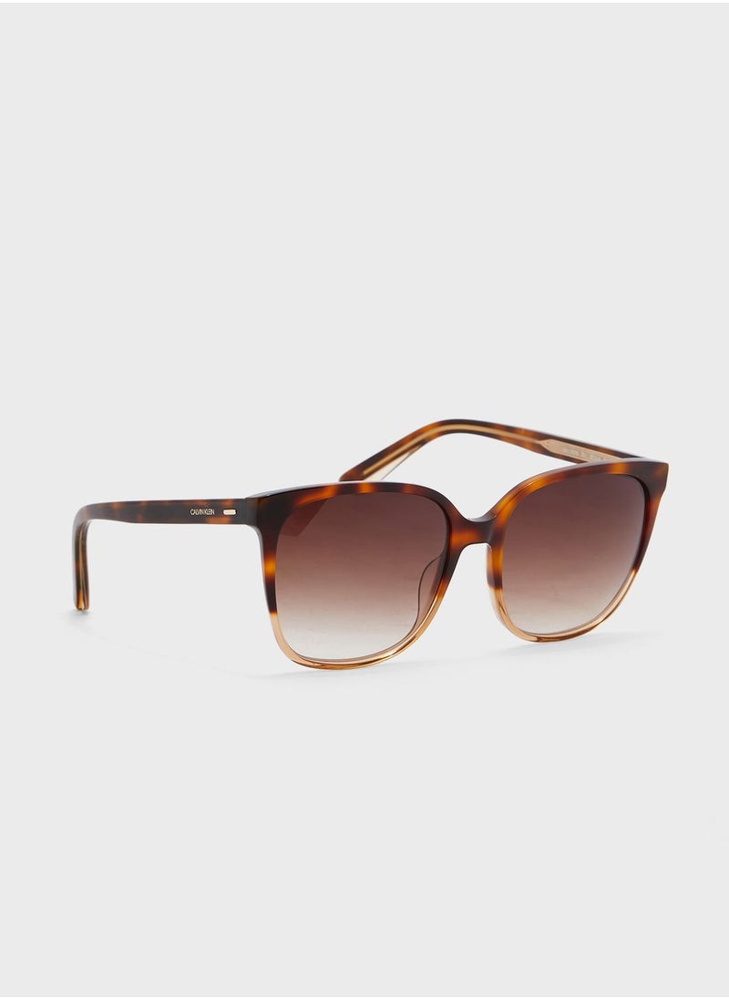 CALVIN KLEIN - Rectangular Sunglasses - Image 1