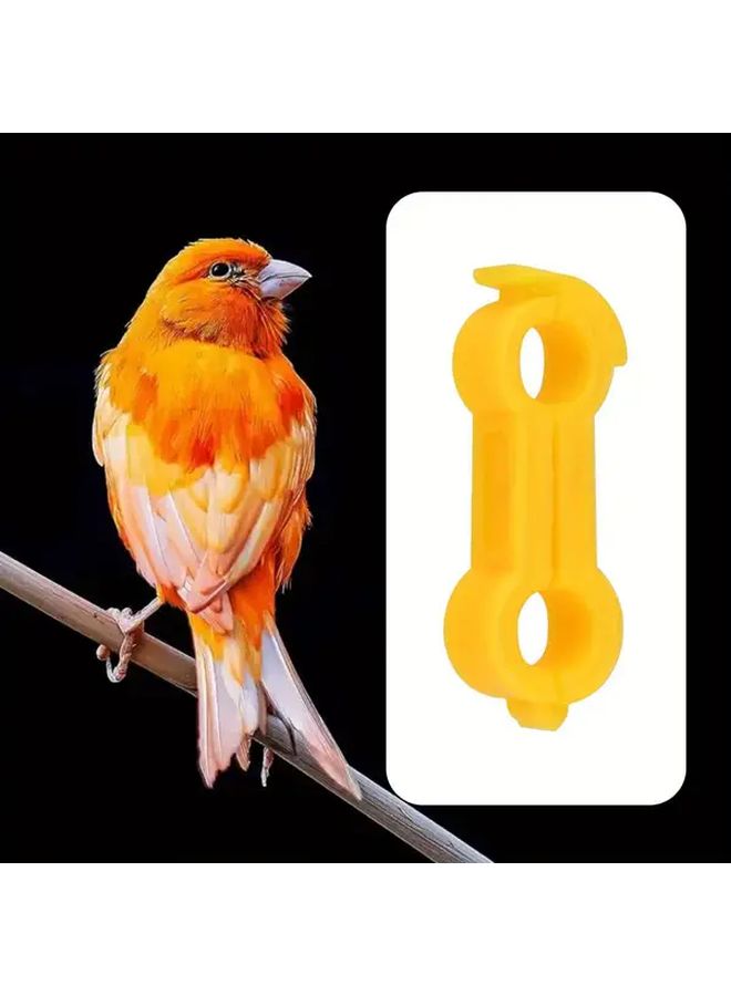11pcs Bird and Chick Leg Correction Rings for Canaries Small Parrots Quails - Image 2