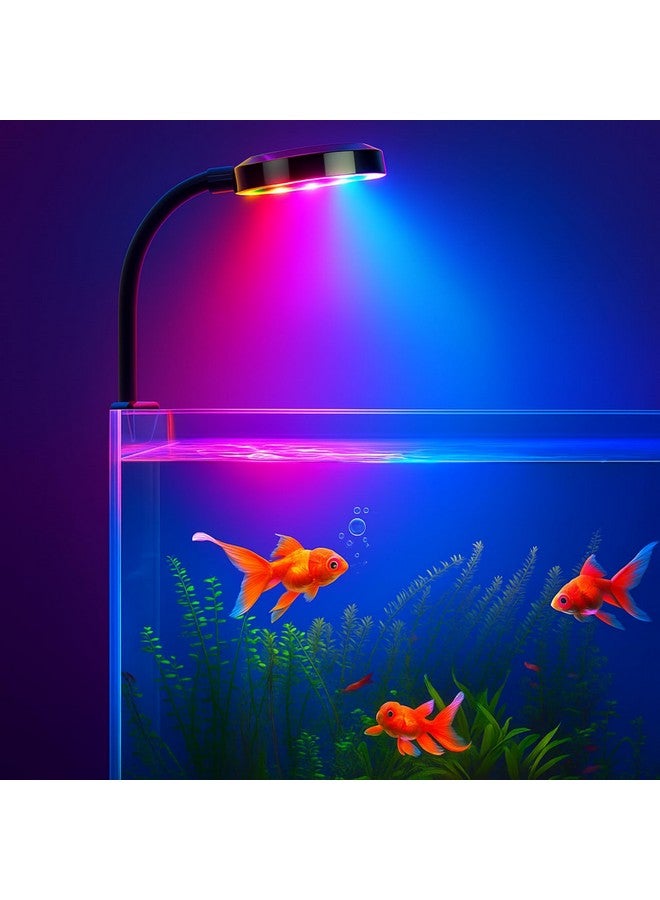 BURAQ N6 Multicolor Aquarium LED Light 2.5W | WRGB Spectrum | 3 Lighting Modes | 360° Flexible Arm | Clip-On Lamp for Nano Fish Tanks & Bowls - Image 1