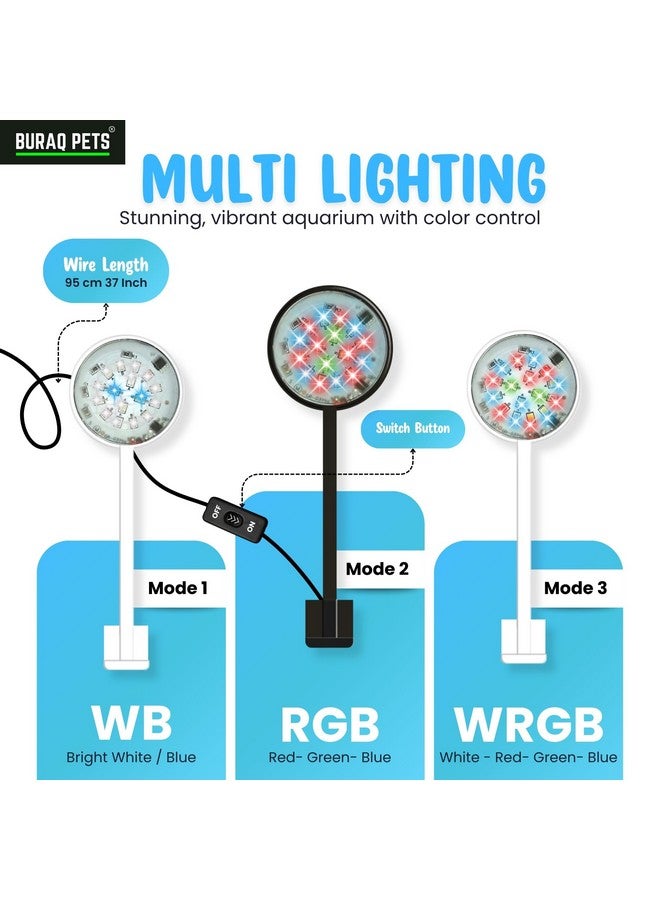 BURAQ N6 Multicolor Aquarium LED Light 2.5W | WRGB Spectrum | 3 Lighting Modes | 360° Flexible Arm | Clip-On Lamp for Nano Fish Tanks & Bowls - Image 2