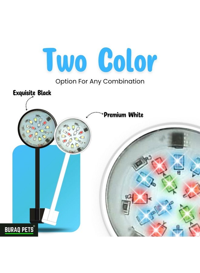 BURAQ N6 Multicolor Aquarium LED Light 2.5W | WRGB Spectrum | 3 Lighting Modes | 360° Flexible Arm | Clip-On Lamp for Nano Fish Tanks & Bowls - Image 5