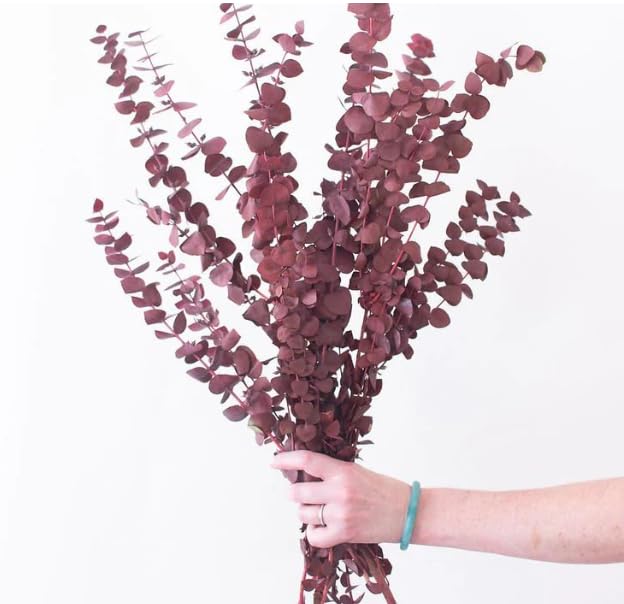 Generic Indus Decor Artificial Eucalyptus Bunch Decorative Items for Home Dcor Living Room Bedroom Office Table Top Centerpiece Wedding Decoration 16 Sticks Maroon  - Image 3