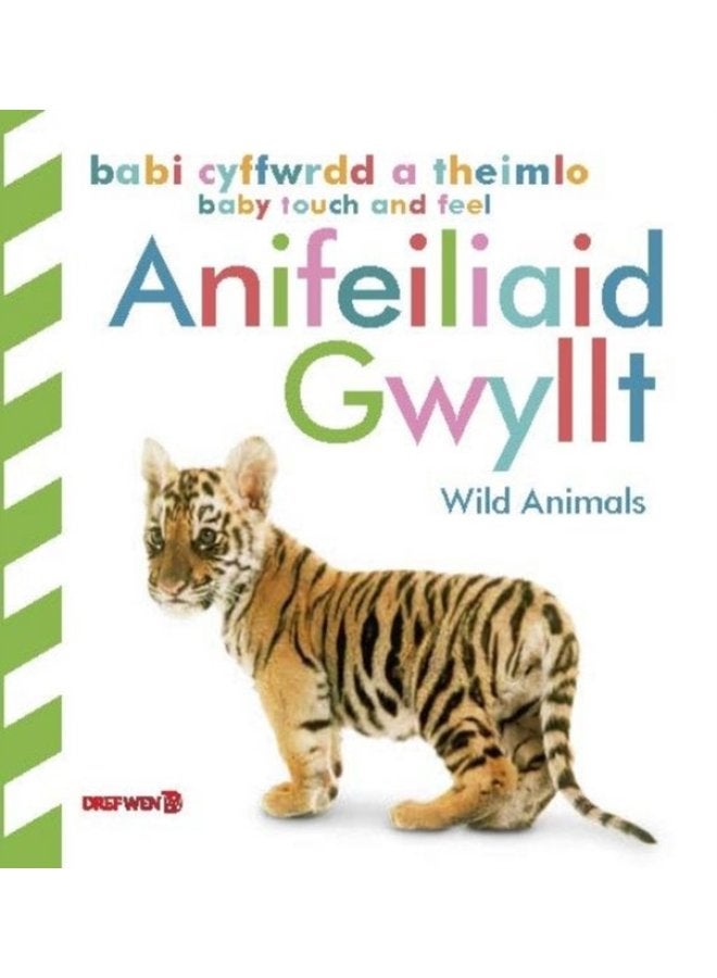 Babi Cyffwrdd a Theimlo Anifeiliaid Gwyllt Baby Touch and Feel Wild Animals Wild Animals - Hardback