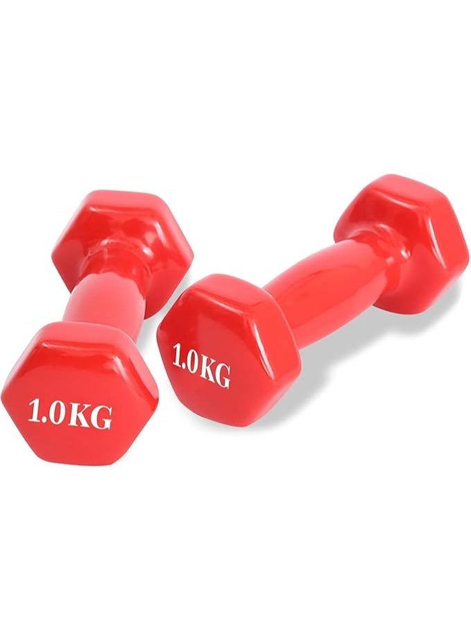 DUNISO 2 Pcs Dumbbells, Fitness Dumbbells, Weightlifting Dumbbells with Anti Slip Handles, Sturdy and Durable，Suitable For Fitness, Home Use, Exercise, Weightlifting, Yoga, 1KG Each，Red - Image 1