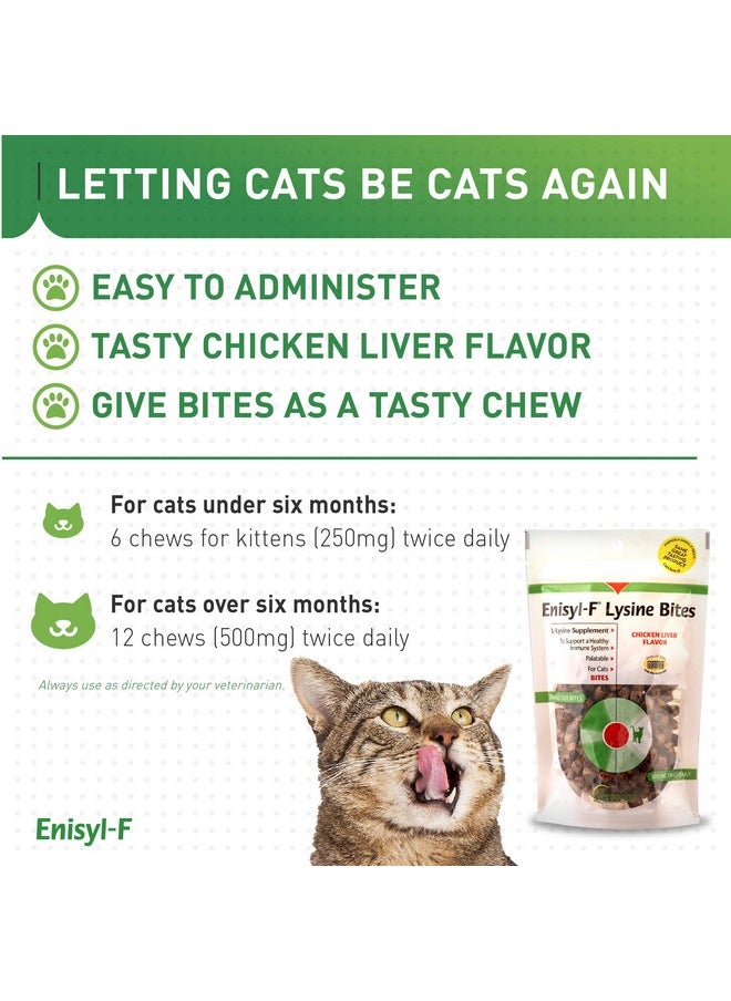 Vetoquinol - Vetoquinol Enisyl-F Lysine Bites: L-Lysine Chews for Cats & Kittens - Chicken Liver-Flavor, 6.4oz (180g) Reclosable Bag - Image 1