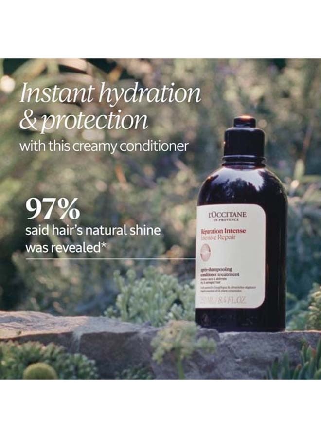 L'OCCITANE بلسم الإصلاح المكثف 500 مل  - Image 2
