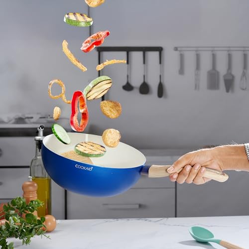 COOKAID Velora Series Non Stick Ceramic Work 24 cm | Aluminium Body| Ceramic Non Stick Coating| ISI Certified |3 LTR. Capacity | RV Blue - Image 1