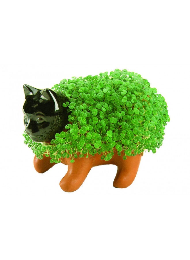 Chia Pet Kitten with Seed Pack, Decorative Pottery Planter, Easy to Do and Fun to Grow, Novelty Gift, Perfect for Any Occasion - Image 1