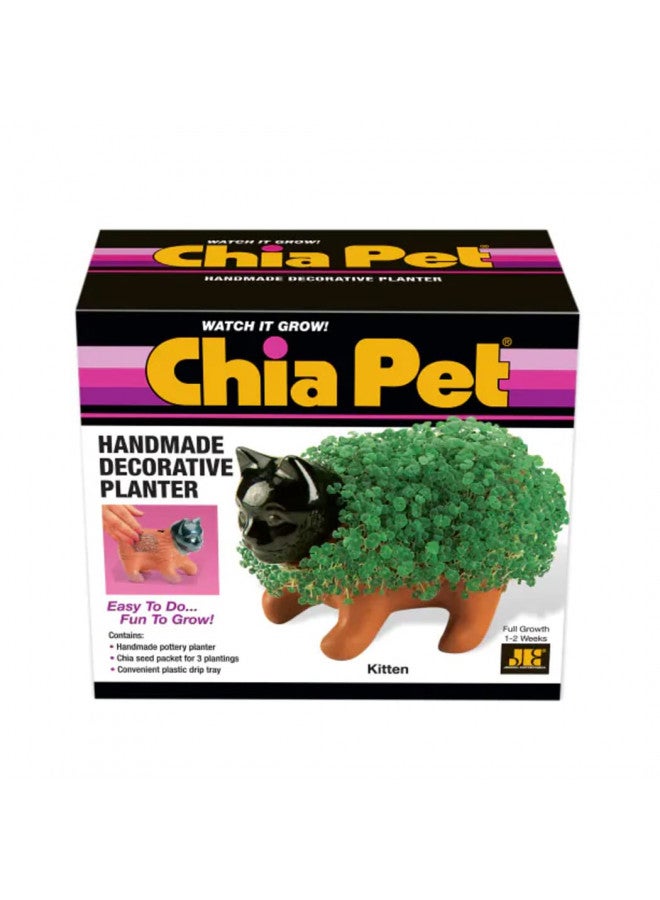 Chia Pet Kitten with Seed Pack, Decorative Pottery Planter, Easy to Do and Fun to Grow, Novelty Gift, Perfect for Any Occasion - Image 2