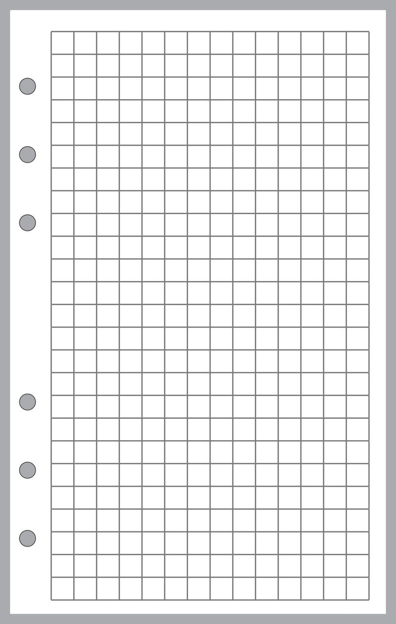 Compact Size Graph Paper Refill, Sized and Punched for Franklin Covey Compact and Other Notebooks (4.25" x 6.75")