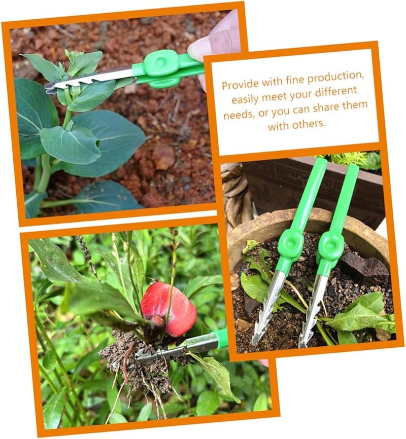 Stainless Steel Gardening Tweezer Tool for Bonsai Succulents Weeding Planting Indoor Outdoor Use - Image 3