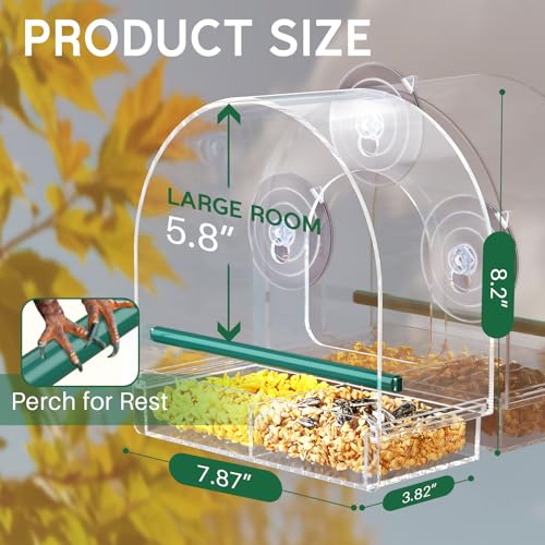 SUNALLY Window Bird Feeder for Outdoors Clear Feeders Window Mounted with Strong Suction Cups Fummingbird Feeder for Viewing Inside Oriole Finch Bird Watching for Cats Elderly Kids - Image 3