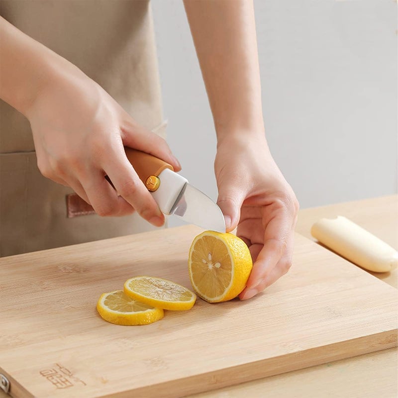 DHULI Multi Functional 2 in 1 Stainless Steel Portable Kitchen Knife Peeler for Travel Fruit and Potato Vegetable, Peeling Tool with Cover Suitable for Outdoor Camping Hiking - Image 5