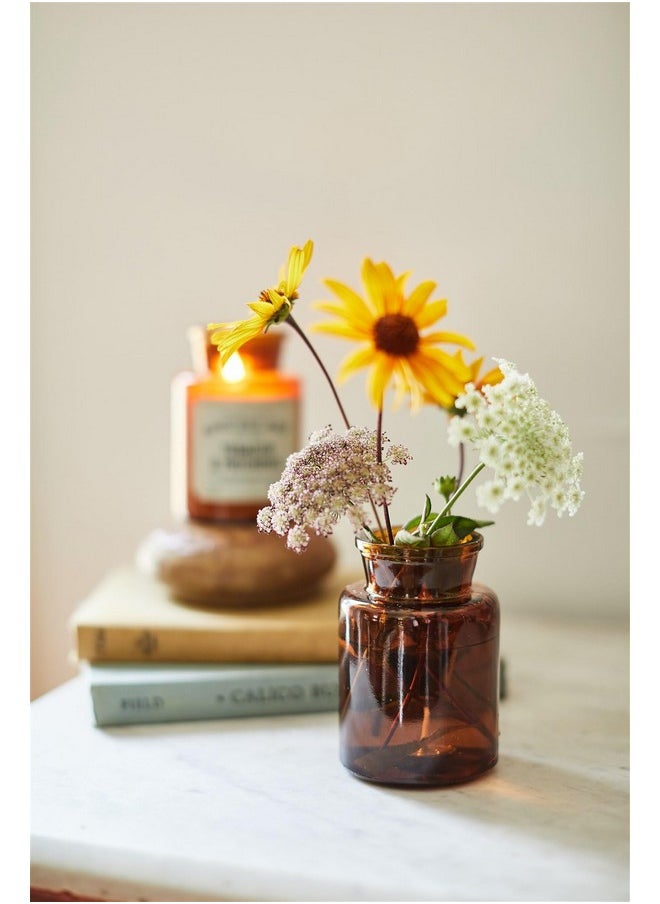 بادي واكس شموع Paddywax المعطرة من Artisan Apothecary Candle، 8 أونصة، ملح البحر والمريمية  - Image 5