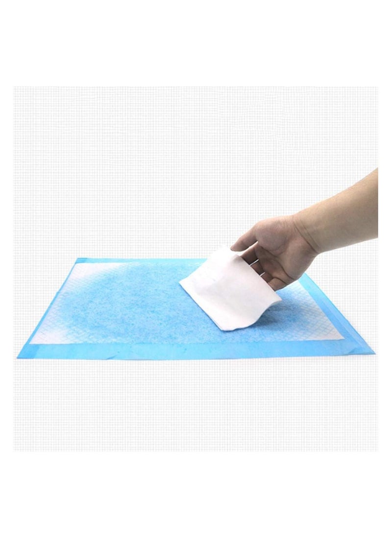 BLOOMING TIME 40-Piece Pet Diaper Training Pad White/Blue  - Image 4
