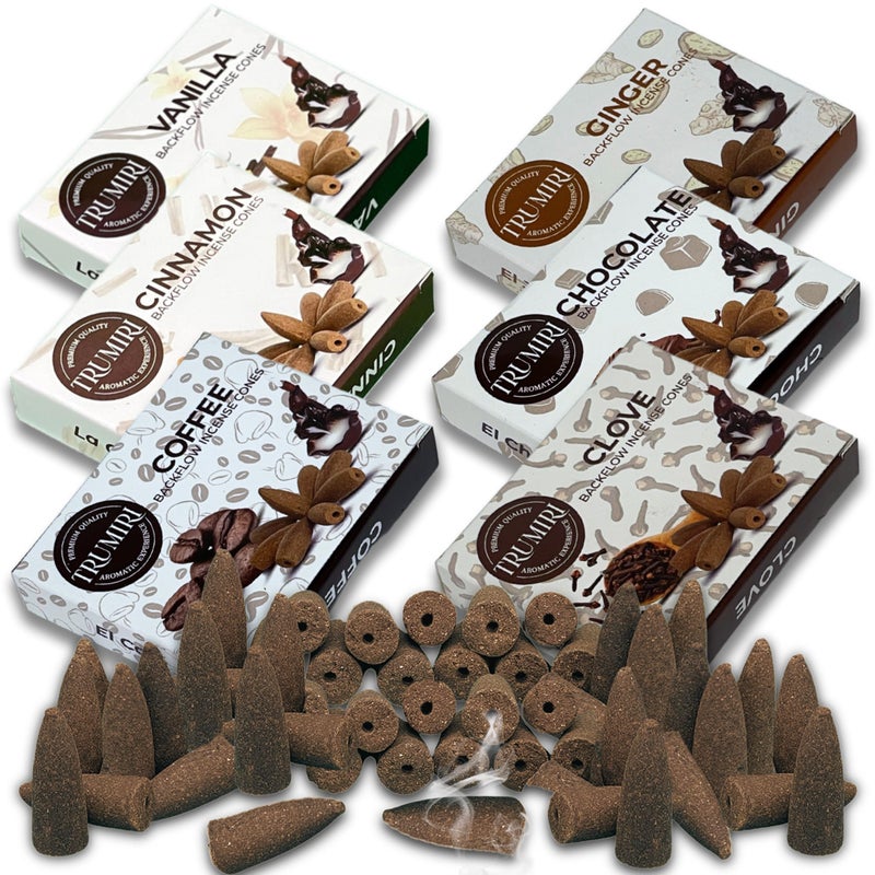 Gourmet  Backflow Incense Cones for Waterfall  Scented InscentsCones  Cinnamon Vanilla Coffee Chocolate Clove Ginger  Insiensos Aromaticos  6x1060 Large Variety Pack