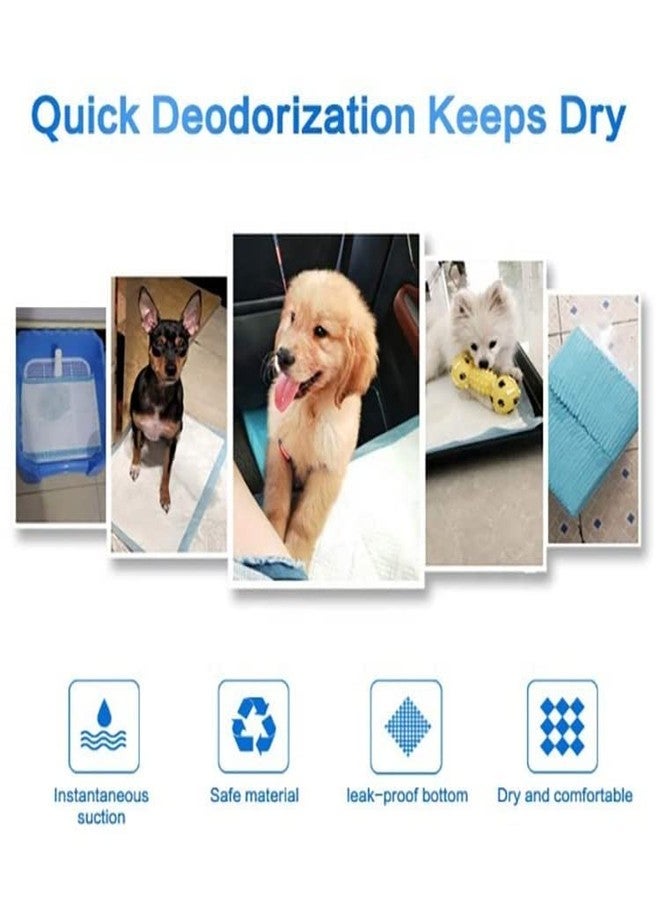 THE DDS STORE متجر DDS، وسادات تدريب كبيرة للجراء على استخدام النونية، شرائط لاصقة محدثة للأرضيات للكلاب الكبيرة في السن، حصيرة جل فائقة الامتصاص ولا تسرب، مقاس 60 * 45 سم، وسادات بيضاء اللون (عبوة من 5 قطع). - Image 3