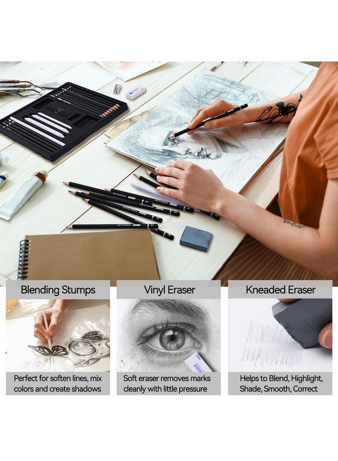 PANDAFLY Drawing Sketching Pencil Set, 22 Piece Pro Art Pencil Kit - Graphite Pencils (12B-2H), Black and White Charcoal Pencils, Charcoal Sticks, Stumps, Eraser, Sharpeners - Image 5