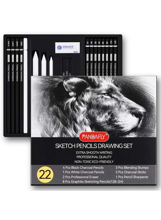 PANDAFLY Drawing Sketching Pencil Set, 22 Piece Pro Art Pencil Kit - Graphite Pencils (12B-2H), Black and White Charcoal Pencils, Charcoal Sticks, Stumps, Eraser, Sharpeners - Image 1