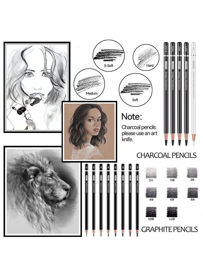 PANDAFLY Drawing Sketching Pencil Set, 22 Piece Pro Art Pencil Kit - Graphite Pencils (12B-2H), Black and White Charcoal Pencils, Charcoal Sticks, Stumps, Eraser, Sharpeners - Image 3