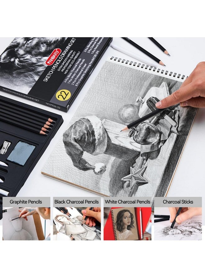 PANDAFLY Drawing Sketching Pencil Set, 22 Piece Pro Art Pencil Kit - Graphite Pencils (12B-2H), Black and White Charcoal Pencils, Charcoal Sticks, Stumps, Eraser, Sharpeners - Image 4