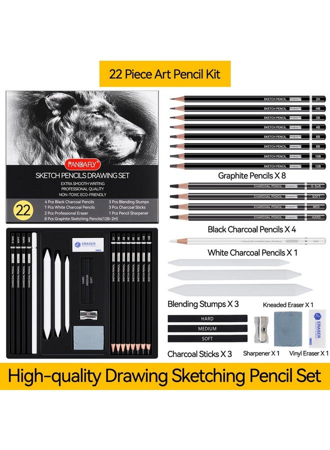 PANDAFLY Drawing Sketching Pencil Set, 22 Piece Pro Art Pencil Kit - Graphite Pencils (12B-2H), Black and White Charcoal Pencils, Charcoal Sticks, Stumps, Eraser, Sharpeners - Image 2