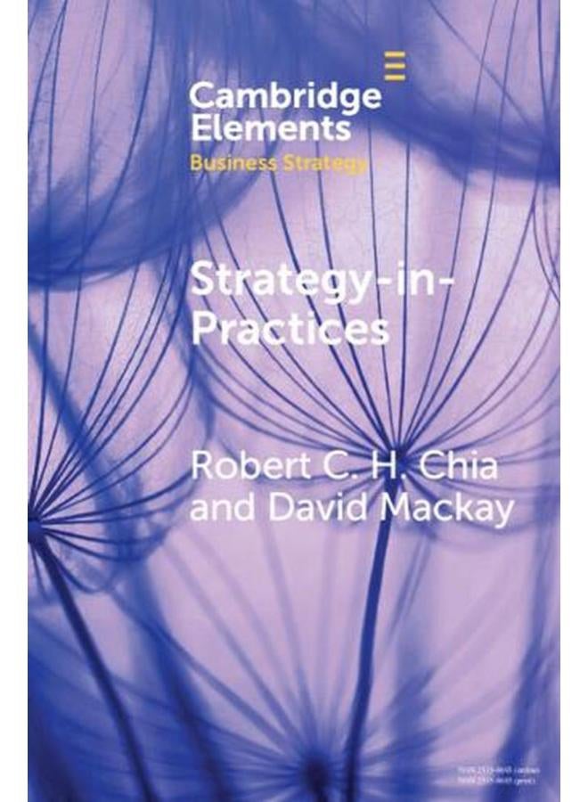 Strategy-In-Practices