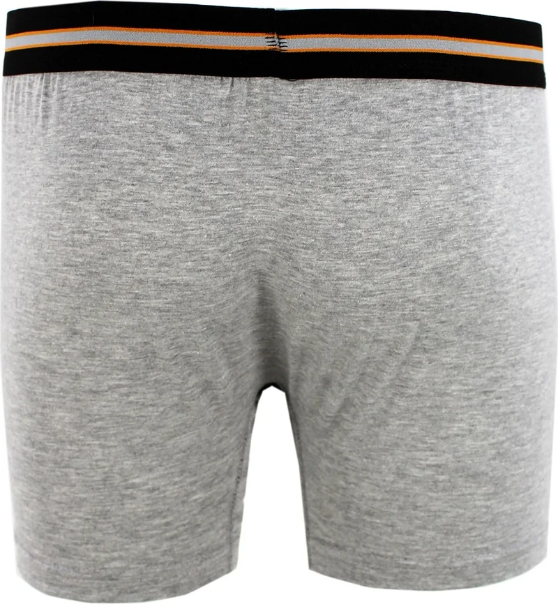 Varetta Single Arslan Men's Gray 2 Pcs Boxer