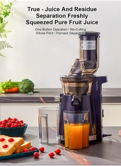 ET-LIFE Slow Masticating Juicer, Slow juicer, Fruit/Vegetable Juicer, Cold Press Juicer with High Output  - Image 2